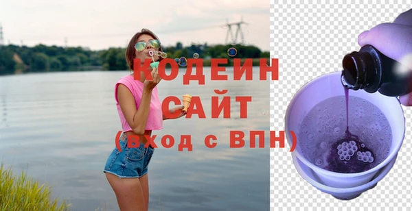 индика Белокуриха